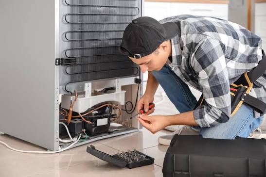 Fridge Repair